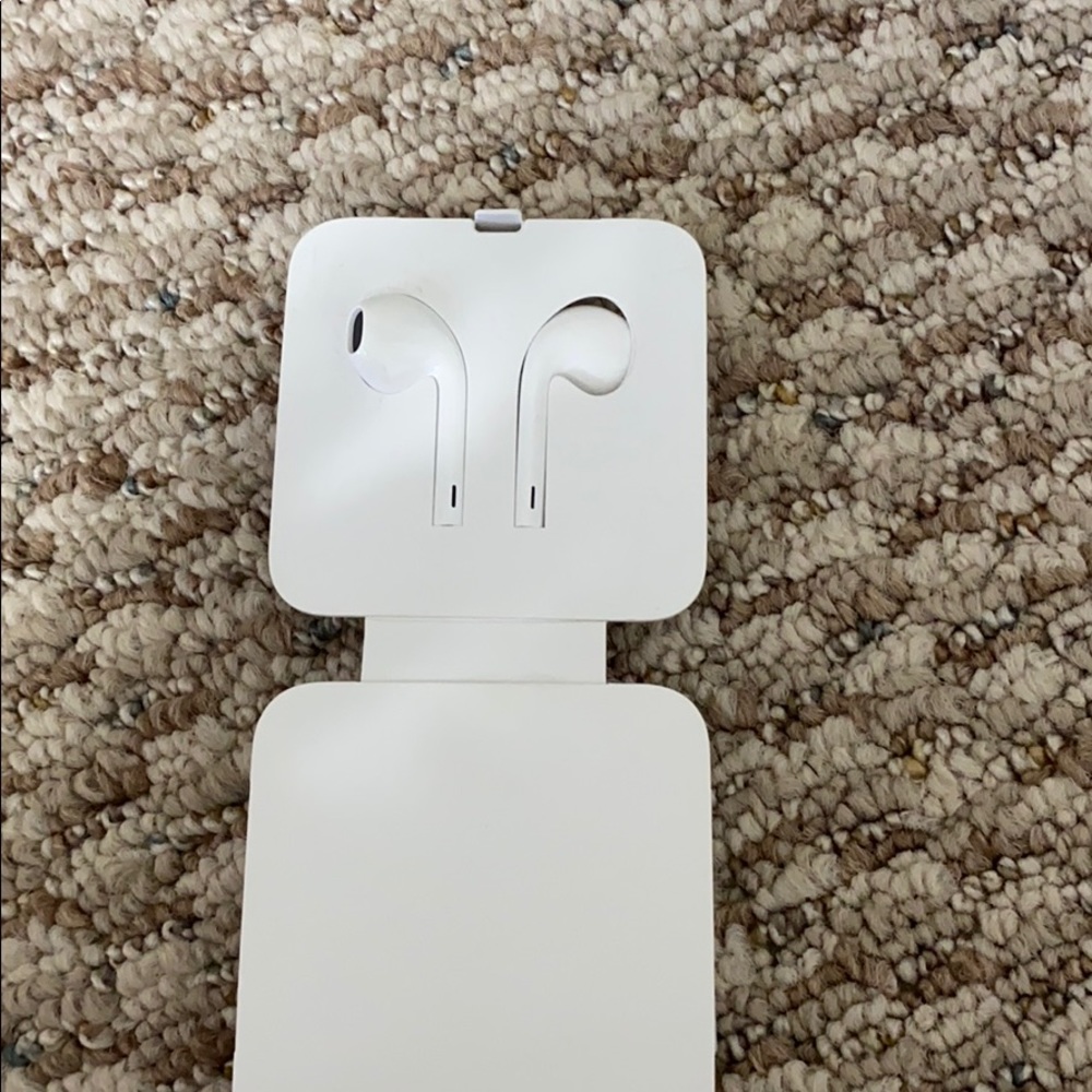 Apple earphones